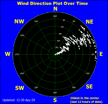 Wind direction plot